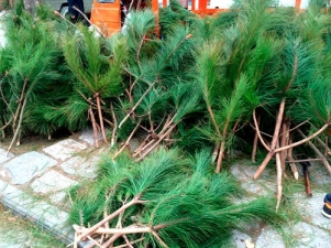 pagenumber_ebook=51,pagenumber_book=42