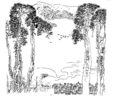 pagenumber_ebook=195,pagenumber_book=186