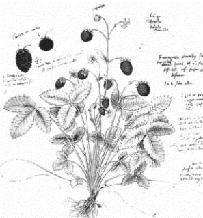 pagenumber_ebook=131,pagenumber_book=131