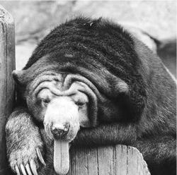 pagenumber_ebook=108,pagenumber_book=98