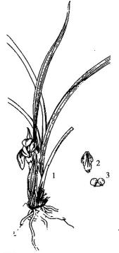 pagenumber_ebook=291,pagenumber_book=291