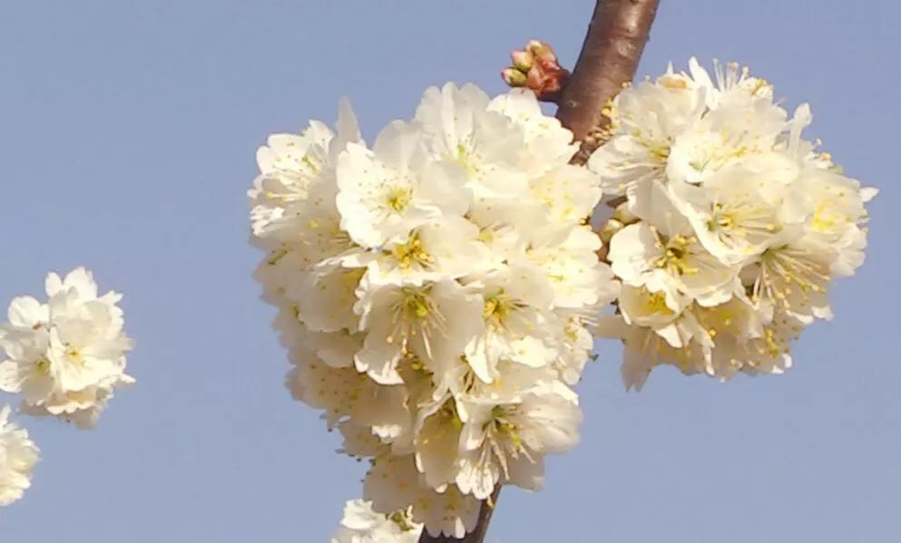 微信图片_20230310150509