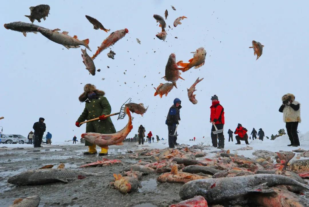 微信图片_20201225100248 微信图片_20201225100248.jpg