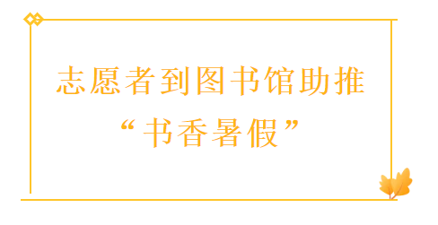 image image.png?v=1765624236982