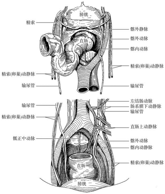 pagenumber_ebook=400,pagenumber_book=385