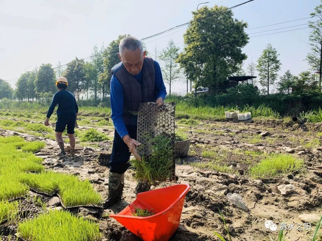 1 1.jpg?v=1765946374530