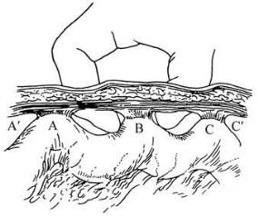 pagenumber_ebook=219,pagenumber_book=204