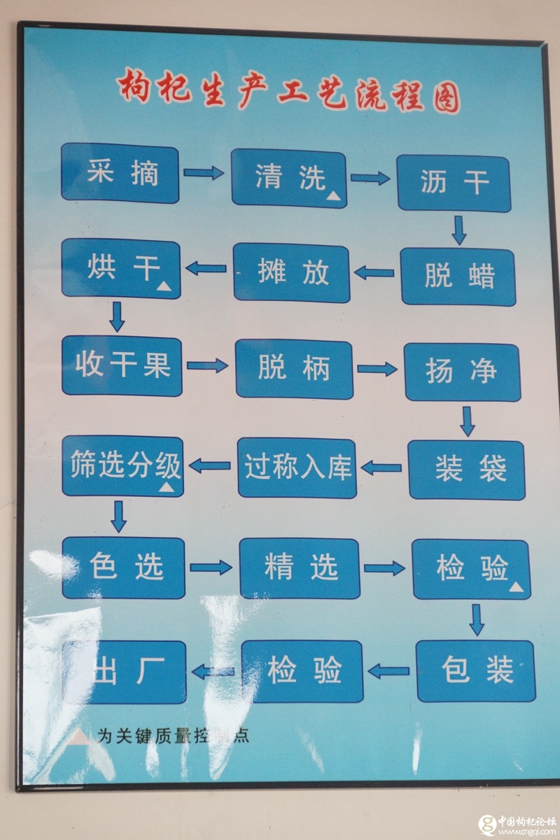 [生产技术] 枸杞生产工艺流程图.jpg?v=1751524517079