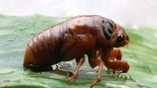 微信图片_20220624211538 微信图片_20220624211538.jpg