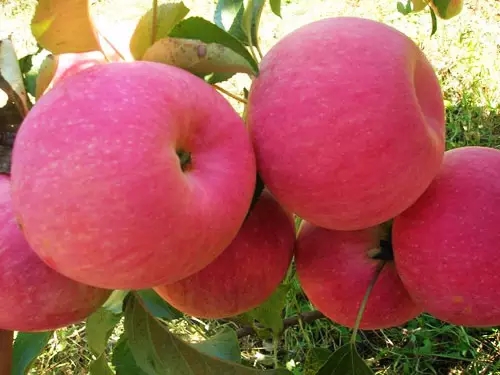 1111.webp 1111.webp.jpg