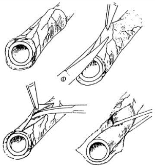 pagenumber_ebook=258,pagenumber_book=243