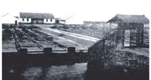 pagenumber_ebook=80,pagenumber_book=65