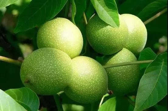 微信图片_20230315153540