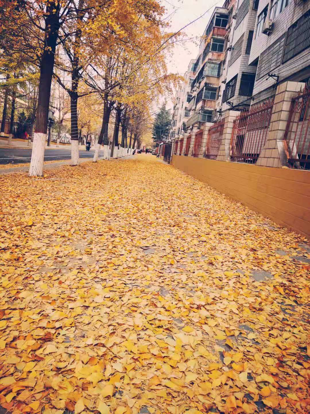 402b31e7f4acbfc323645ac3b8a4bef