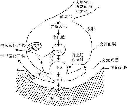 pagenumber_ebook=45,pagenumber_book=45