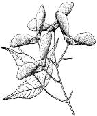 pagenumber_ebook=134,pagenumber_book=134