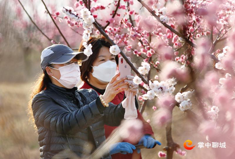 微信图片_20210330094127