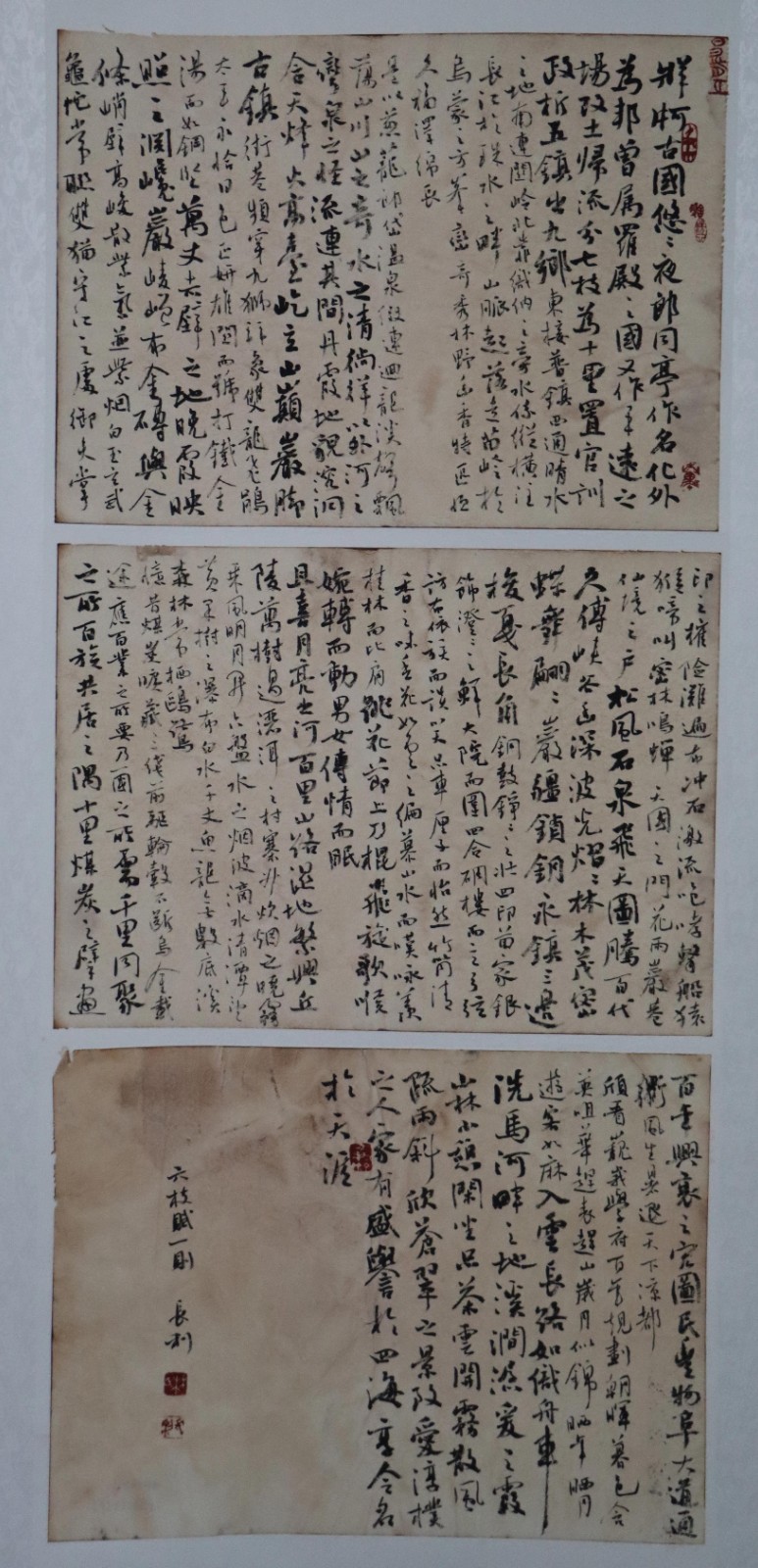 林长利(山东省烟台市) 林长利(山东省烟台市).jpg?v=1762795629393