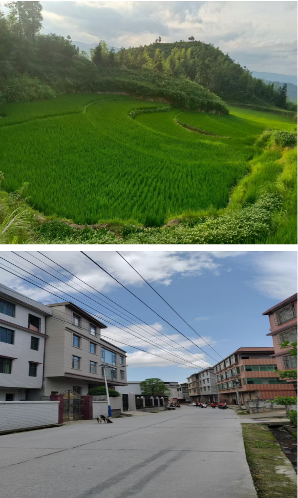 1732339281761 1732339281761.png