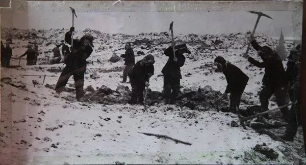 c001bc88d08ea4b463742683f29861fb c001bc88d08ea4b463742683f29861fb.jpg