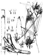 pagenumber_ebook=127,pagenumber_book=127