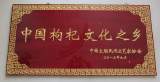 中国枸杞文化之乡——中宁