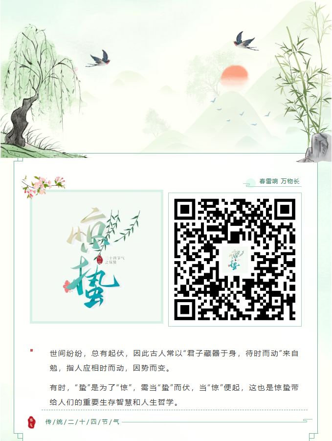 image.png?v=1774110509319