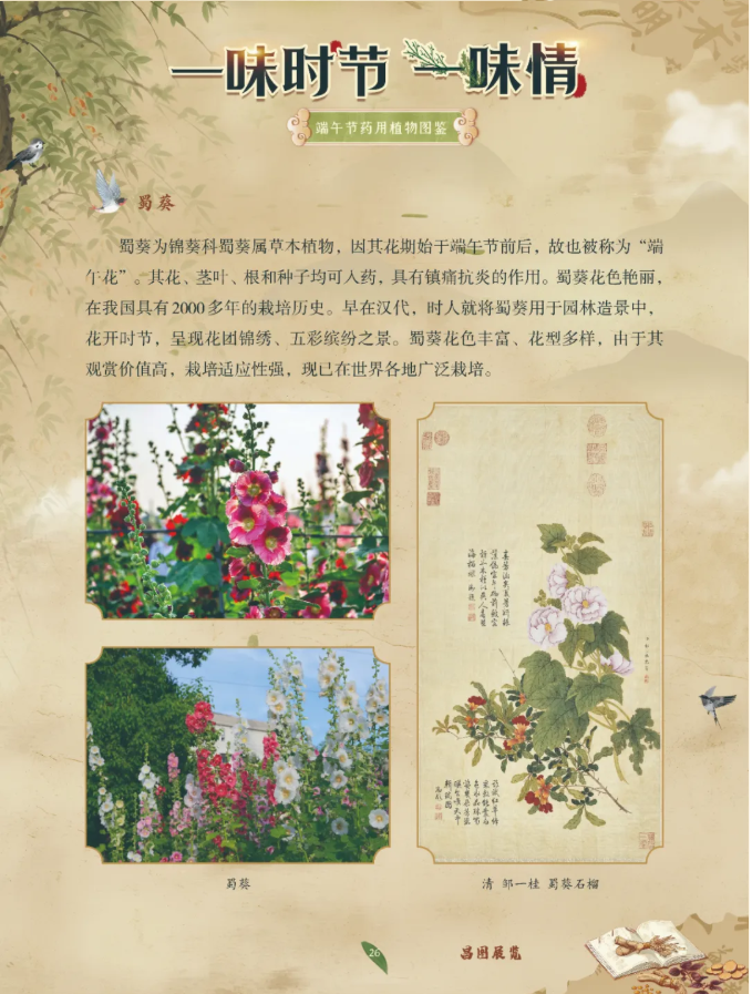 image.png?v=1782174181266