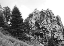 pagenumber_ebook=40,pagenumber_book=30