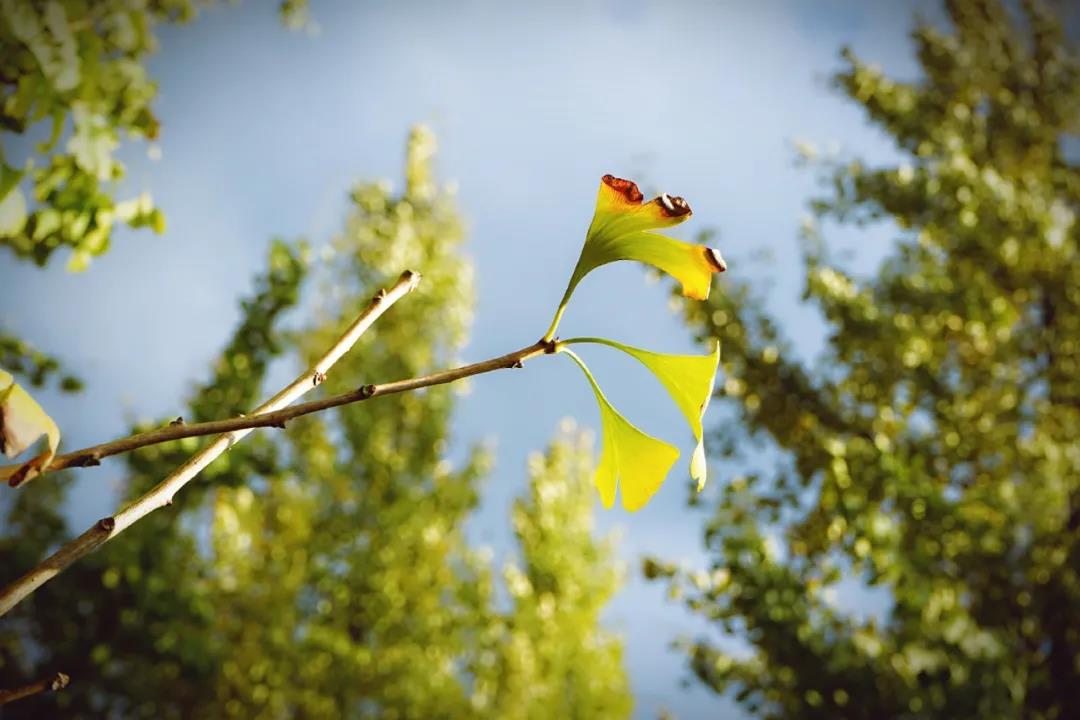 微信图片_20201124234009