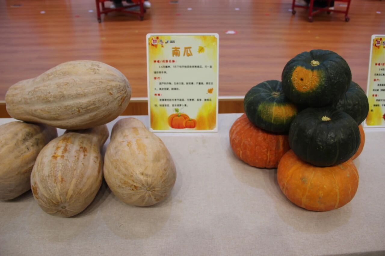 微信图片_2026-09-02_155451_998jpg