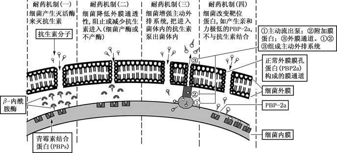 width=599,height=272,dpi=110