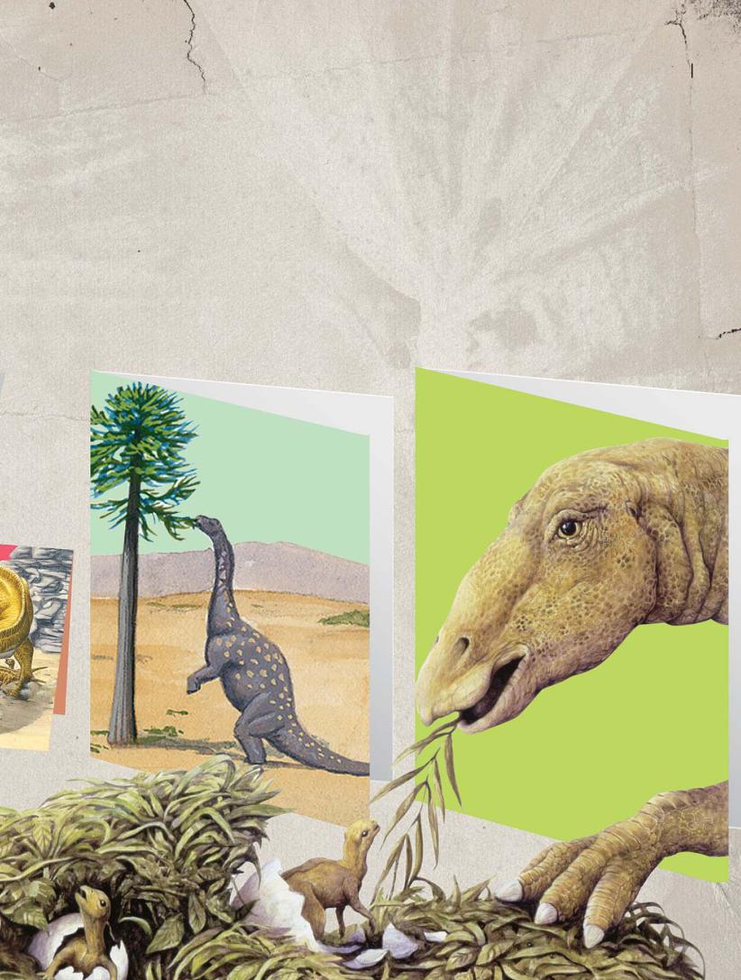 pagenumber_ebook=40,pagenumber_book=29