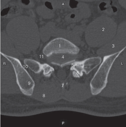 pagenumber_ebook=24,pagenumber_book=15