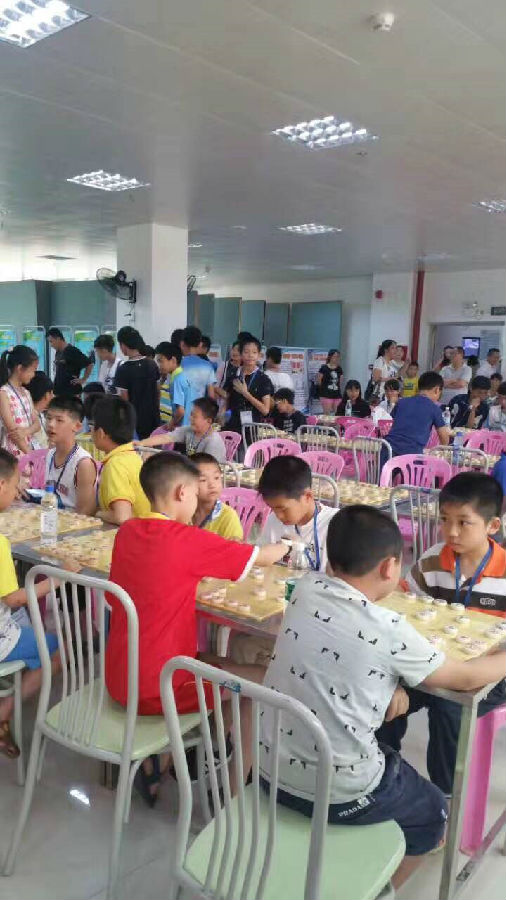 11.jpg?v=1772875453522