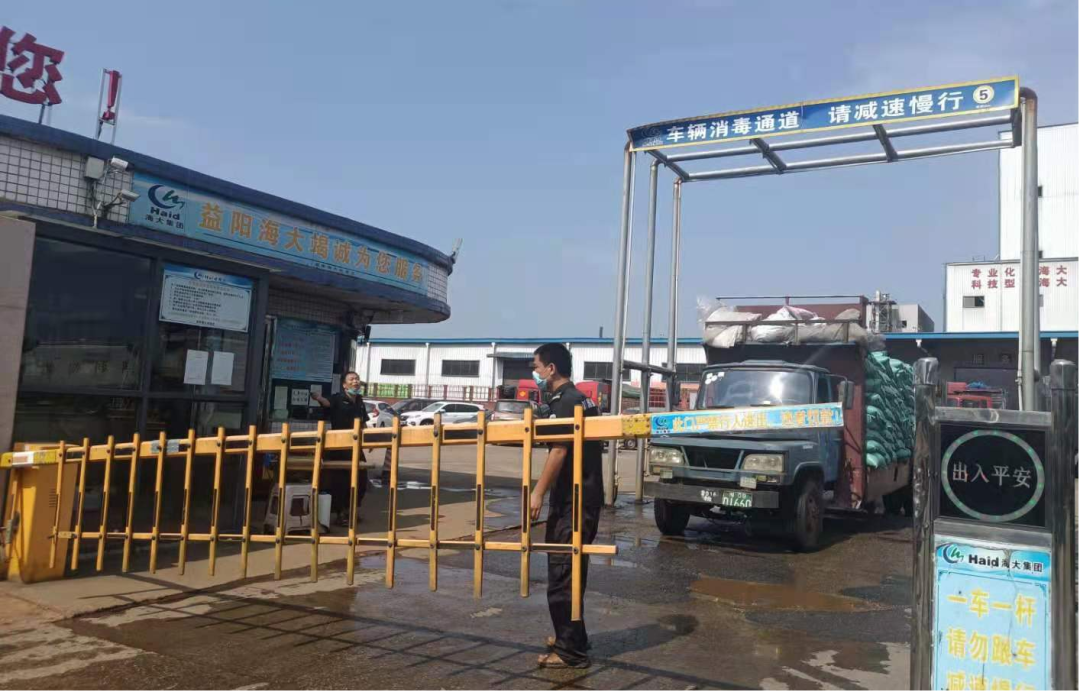 10 10.png?v=1765966789931