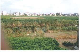 pagenumber_ebook=73,pagenumber_book=58