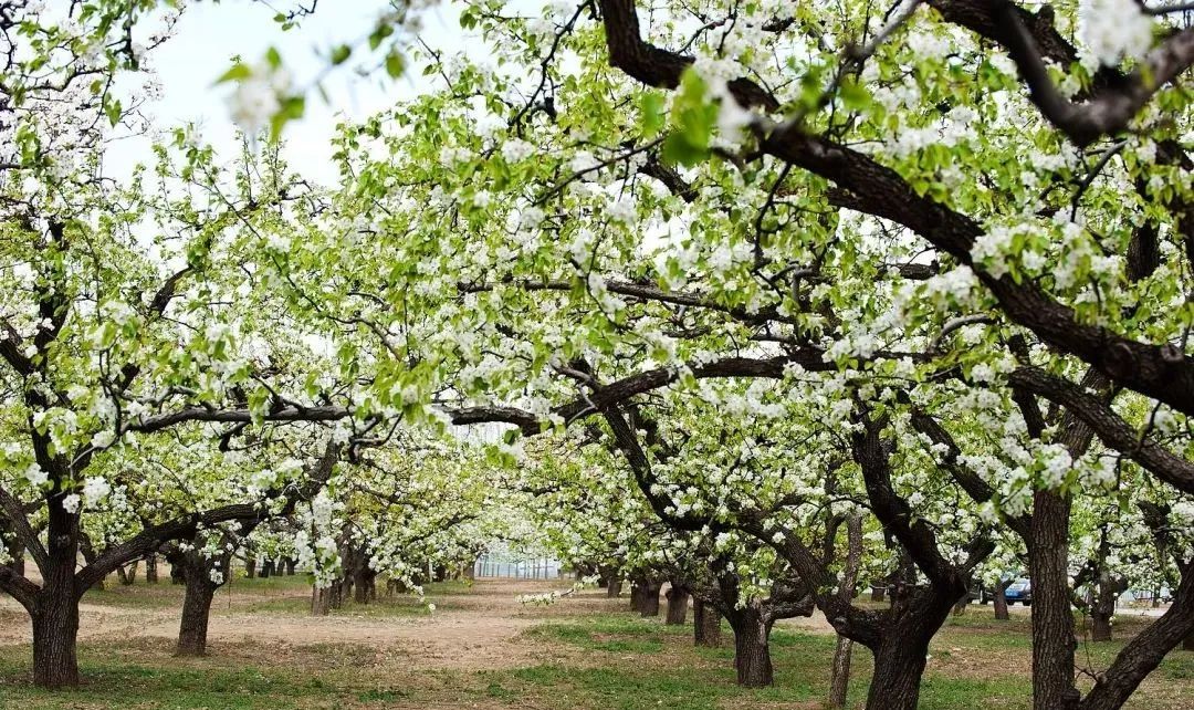 微信图片_20220614094612 微信图片_20220614094612.jpg