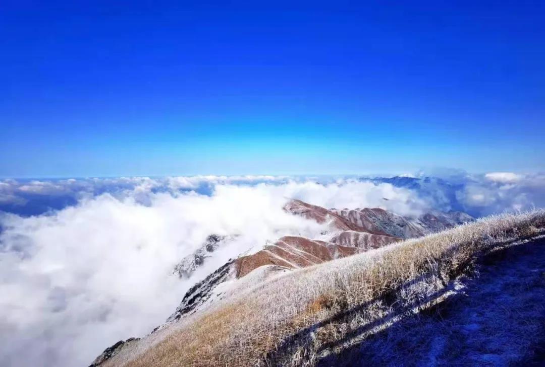 微信图片_20210104220746