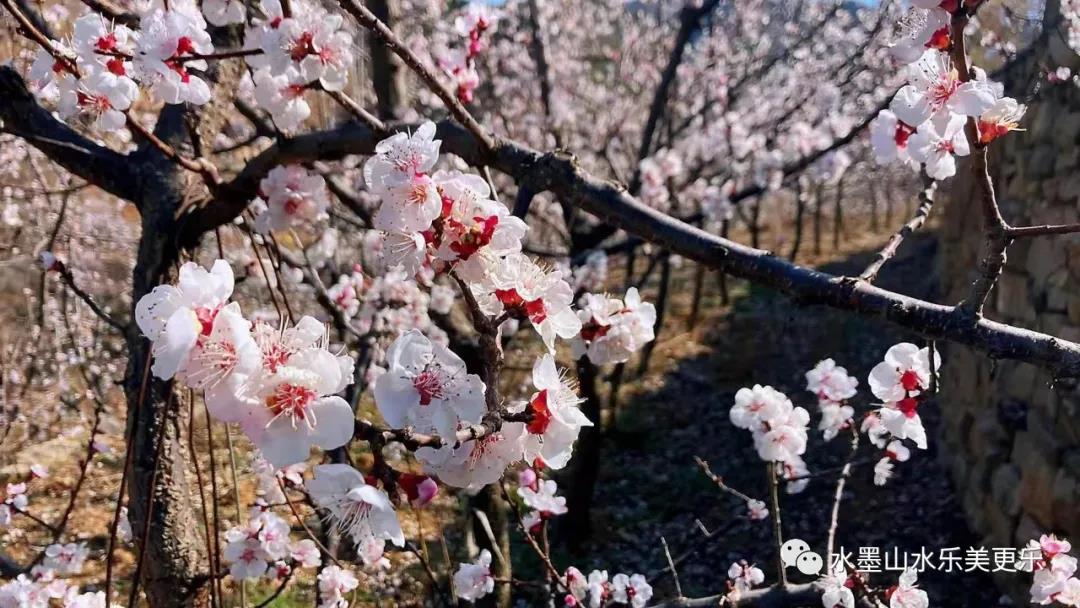 微信图片_20210404213932 微信图片_20210404213932.jpg