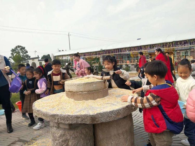 图片 8 图片 8.png