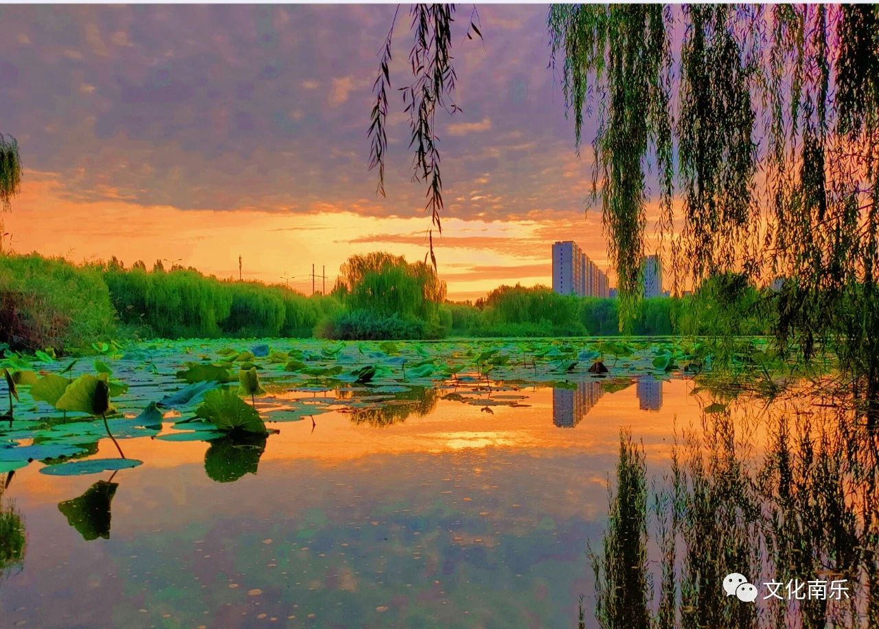 17590af2999b25a55ce12499520d5710 17590af2999b25a55ce12499520d5710.jpg