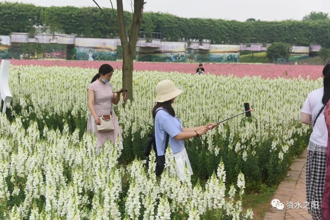 5 5.jpg?v=1765946524964