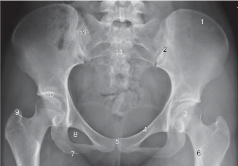 pagenumber_ebook=166,pagenumber_book=157