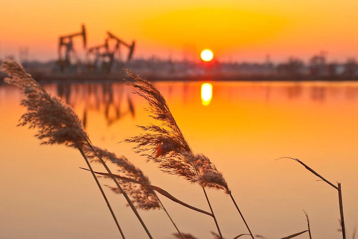 0ef7a996b3dc1f8d7558ab333a366df4 0ef7a996b3dc1f8d7558ab333a366df4.jpg