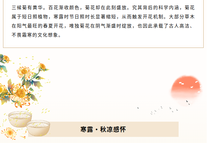 image.png?v=1791932156688