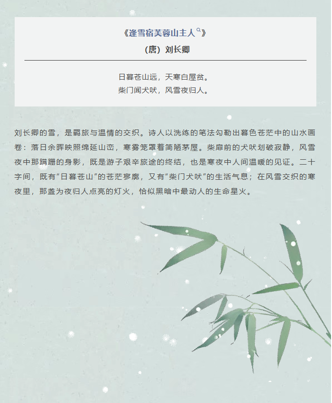 image.png?v=1766278431556