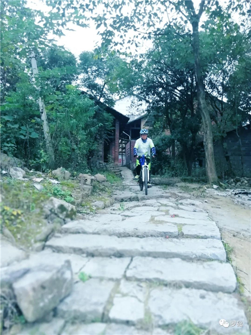 微信图片_20201015091531 微信图片_20201015091531.jpg