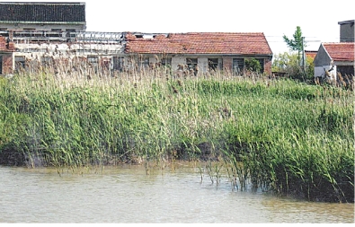 pagenumber_ebook=37,pagenumber_book=22