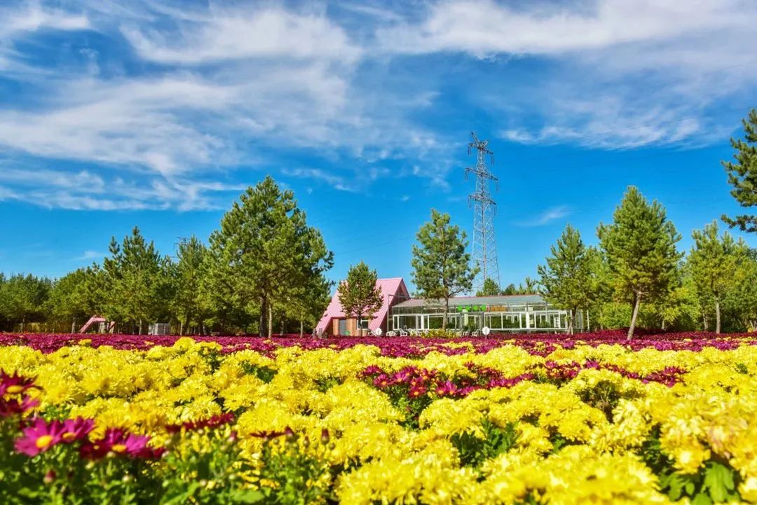 微信图片_20230904101740 微信图片_20230904101740.jpg